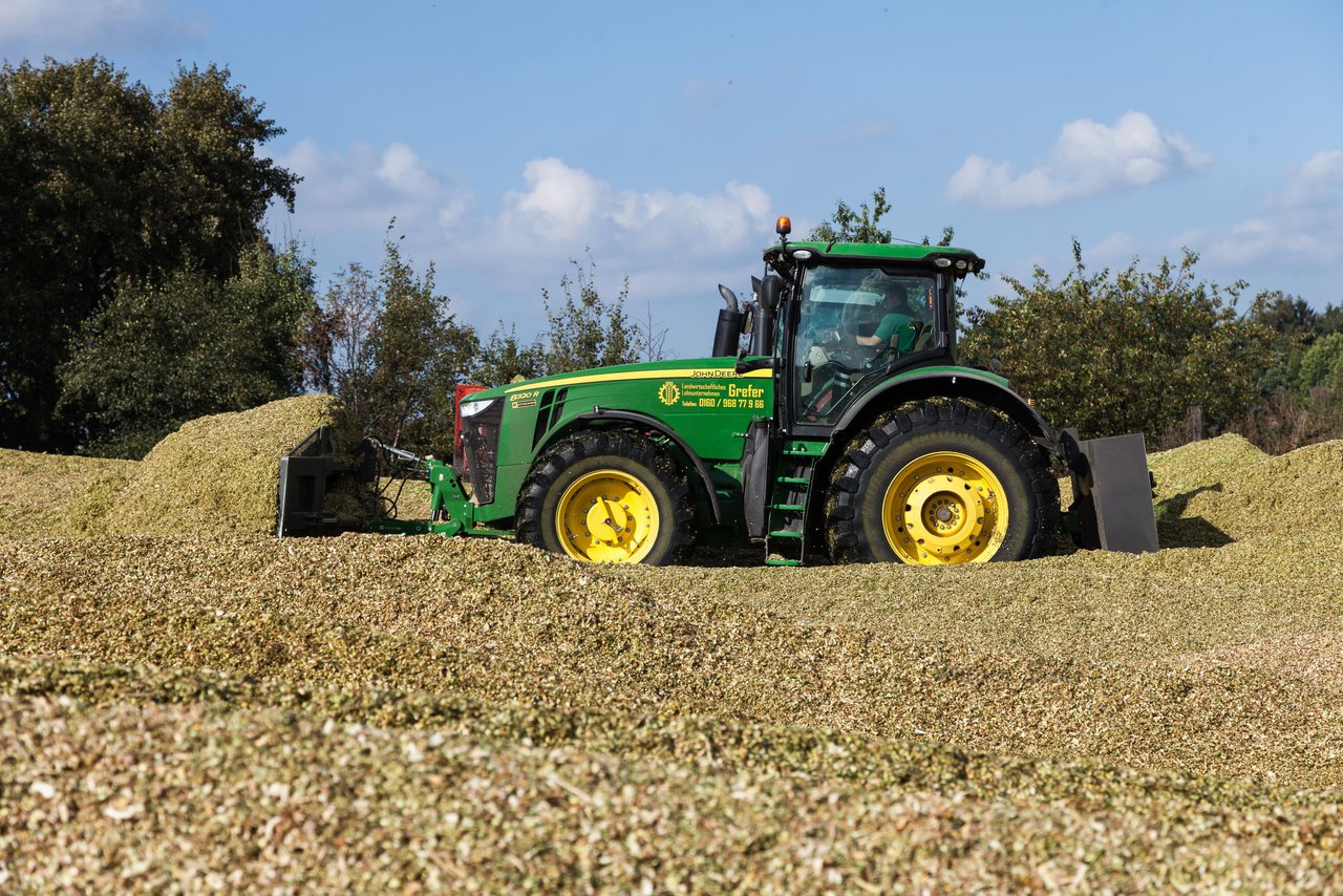 Bild 142 - Maisernte